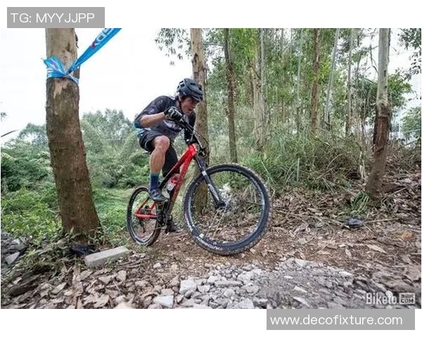 上海极限运动队战术解析：如何在赛场上掌控节奏与优势